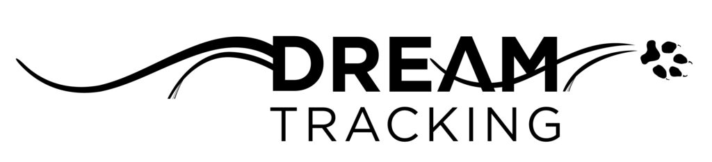 Discover DreamTracking